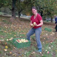 Streuobstwiese im Herbst, Beate Mayer bei der Apfelernte