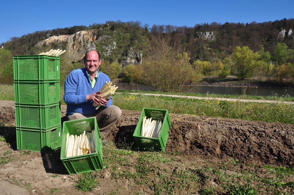 Sepp Keil mit Bio Spargel auf seinem Feld auf der Spargelinsel